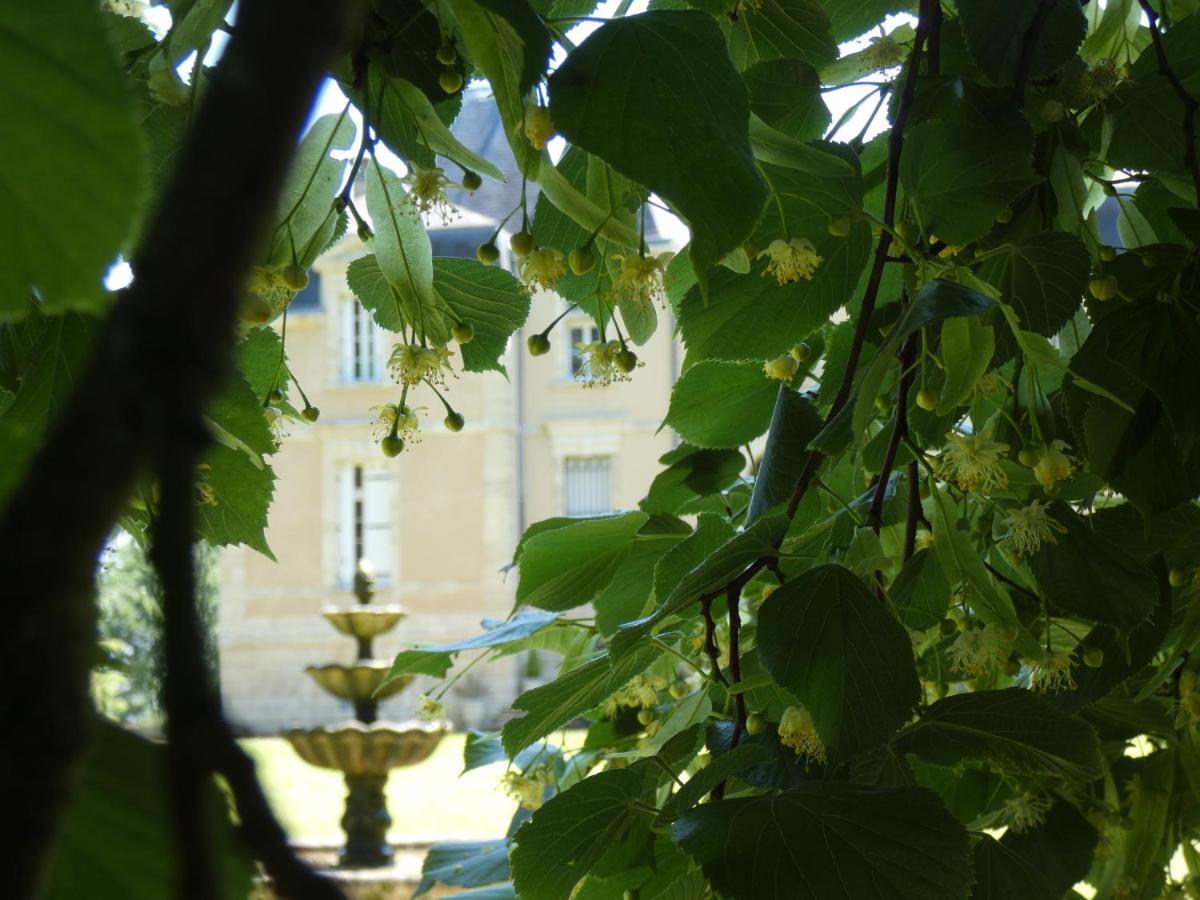 Chateau Marith - Etablissement Climatise Avec Piscine Hotel Clairac  Buitenkant foto