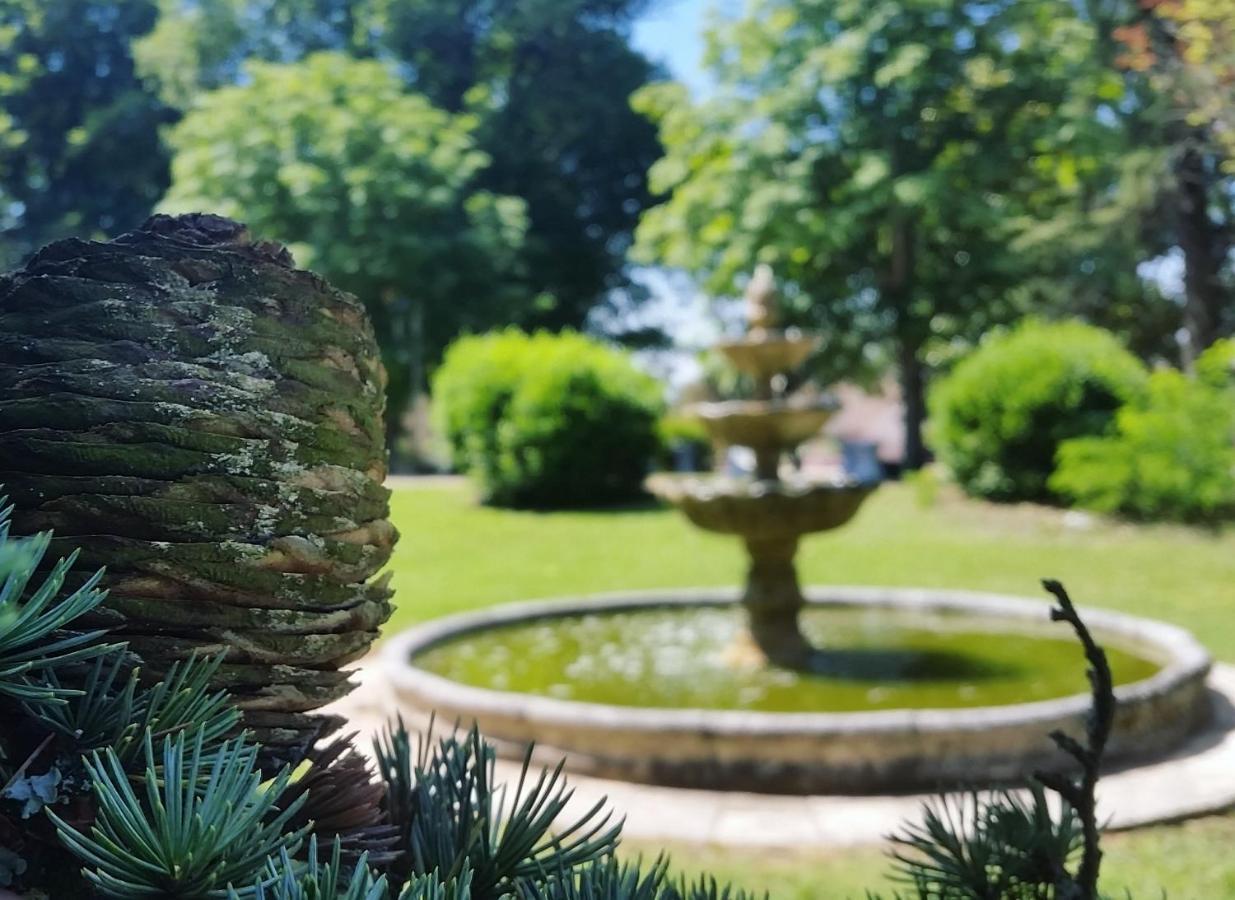 Chateau Marith - Etablissement Climatise Avec Piscine Hotel Clairac  Buitenkant foto